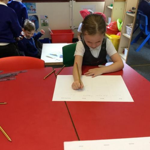 We found out what a balanced diet is and why it is important